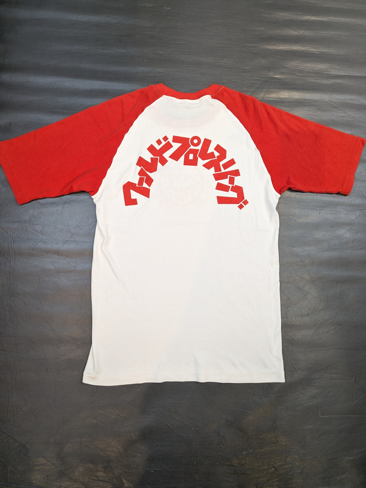 ★当時モノ★ ライオンマーク クラシックラグランTシャツ①(ホワイト×レッド)