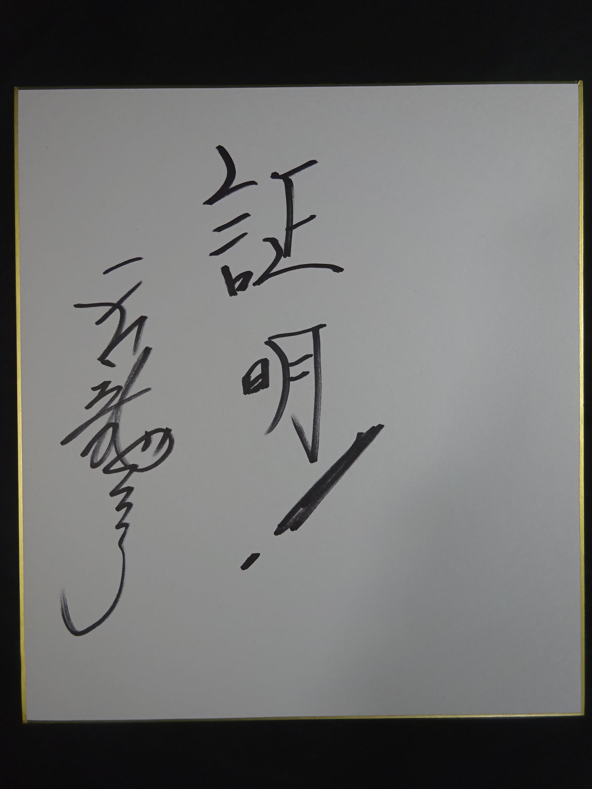 ★ Tenryu Genichiro  Grand Sumo worn by him : 'Tenryu ' Makeup Mawashi & Akari ★