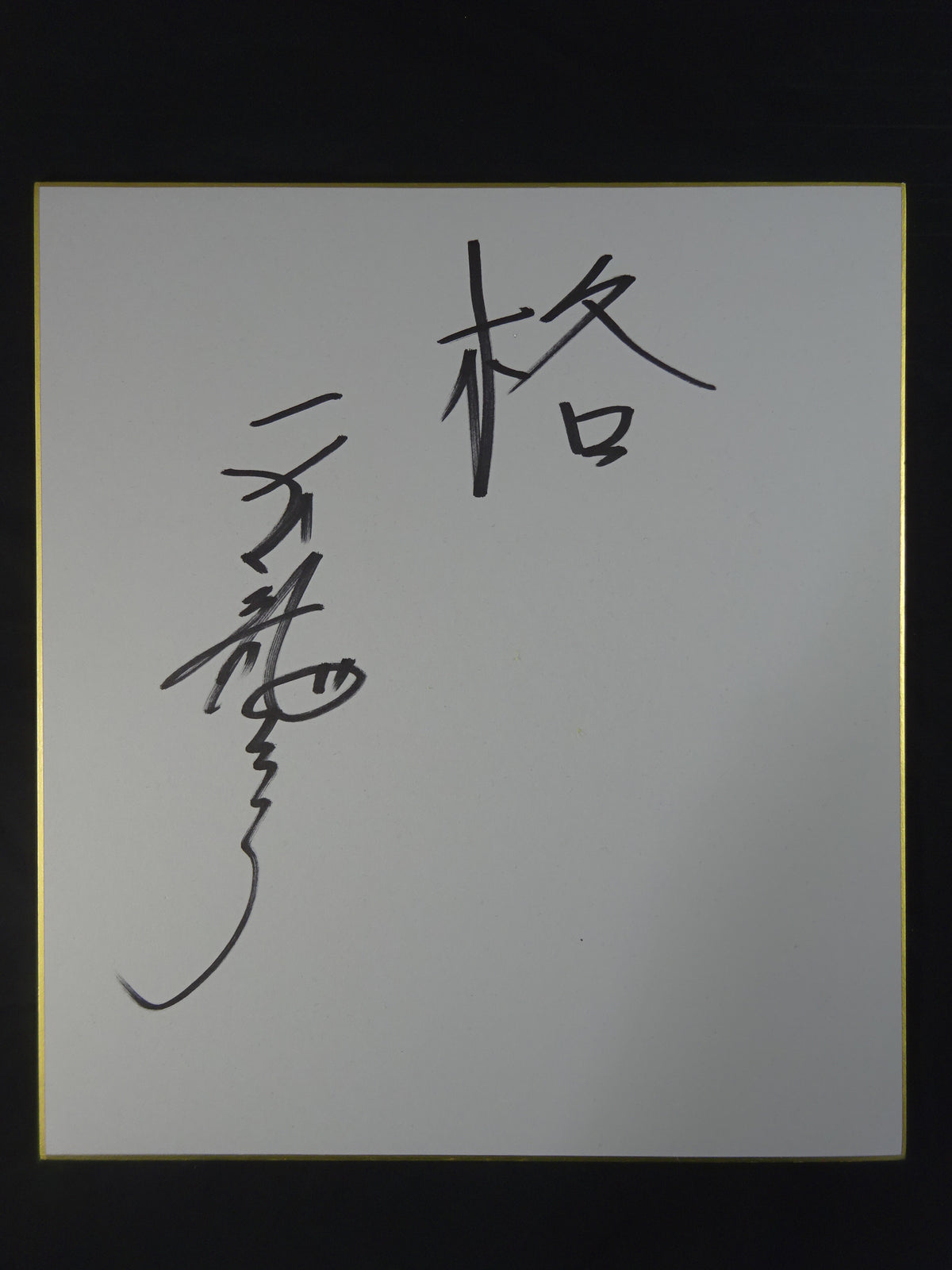 天龍源一郎 ★風雲昇り龍ガウン(黄色)★