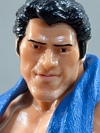 Antonio Inoki  (blue towel)