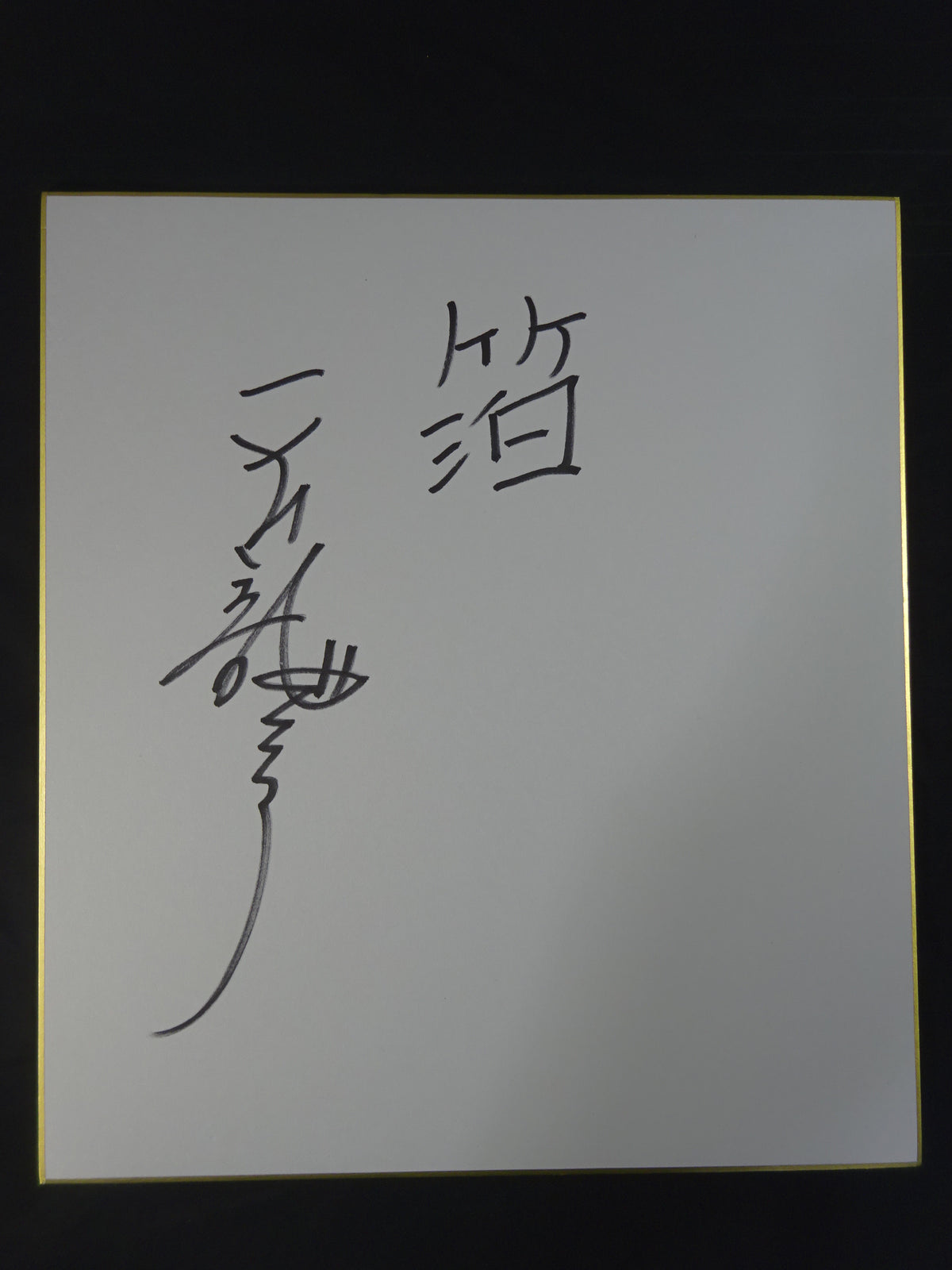 天龍源一郎 ★風雲昇り龍ガウン(銀)★