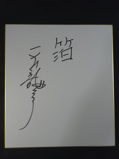 天龍源一郎 ★風雲昇り龍ガウン(銀)★