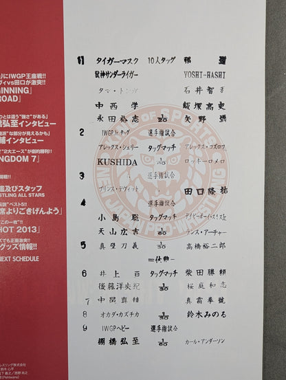 ★ Tanahashi vs Anderson IWGP Match ★ NJPW OFFICIAL MAGAZINE 2013 Vol.1