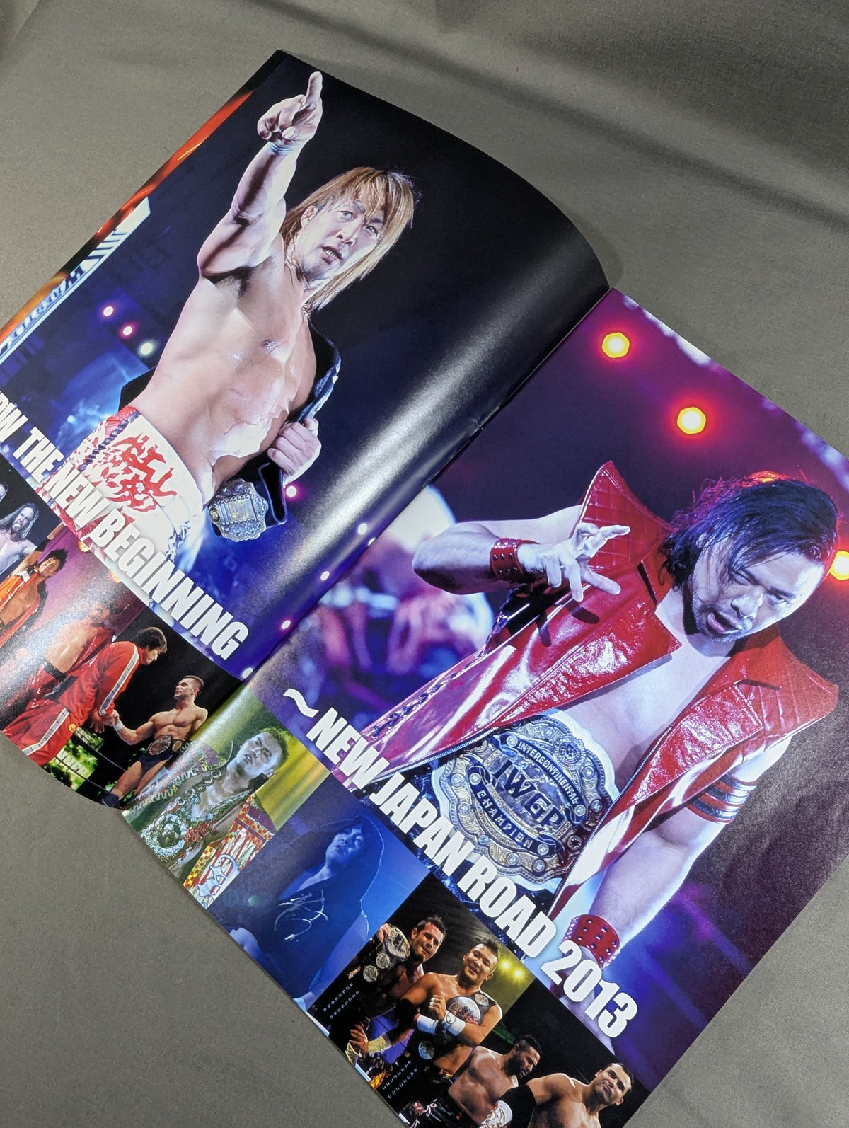 ★ Tanahashi vs Anderson IWGP Match ★ NJPW OFFICIAL MAGAZINE 2013 Vol.1