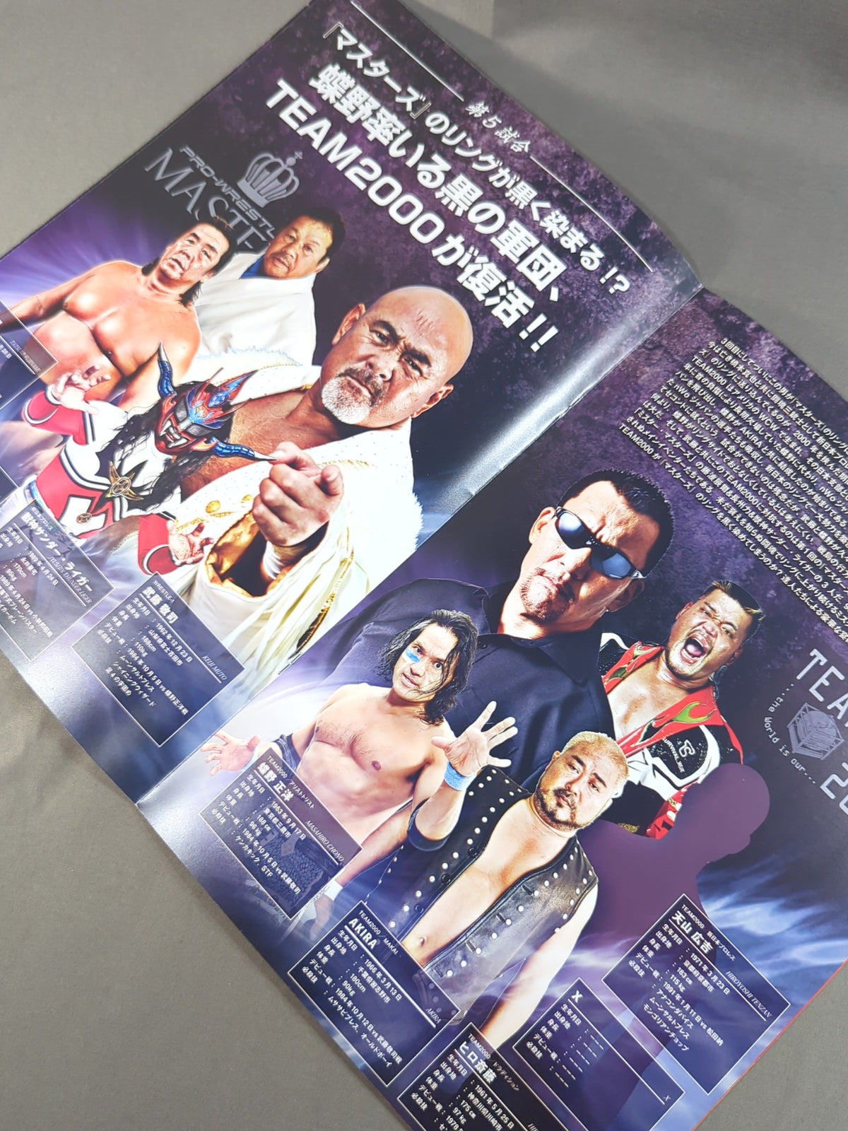 ★ ★ PRO-Wrestling MASTERS