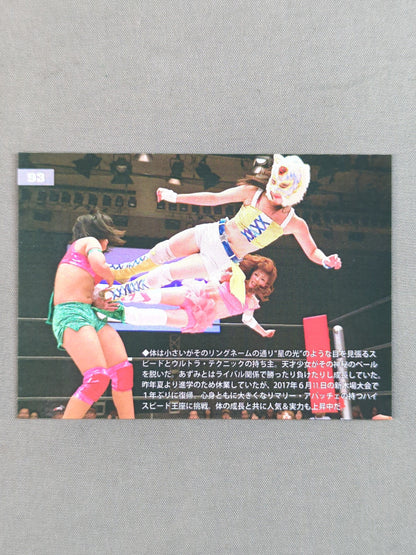 2018 STARDOM COLLECTION CARD STARLIGHT KID (93)