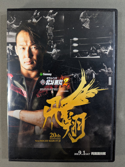 Naomichi Marufuji  20th Anniversary Tournament "Hisho"