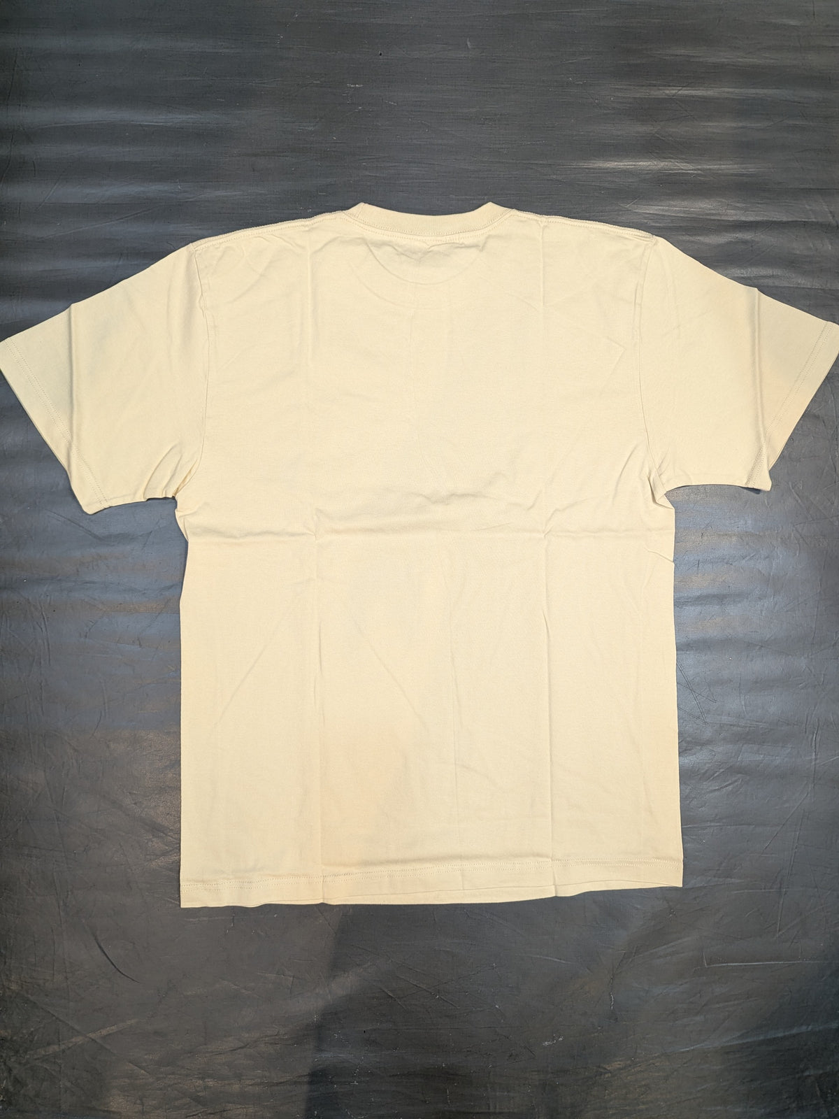 家出レスラー「たわしーず」Tシャツ