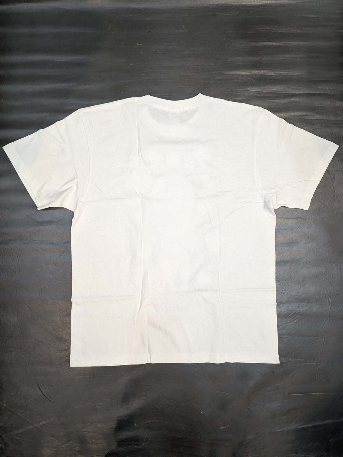 Azusa Inaba "Chorooji" Illustration T-shirt