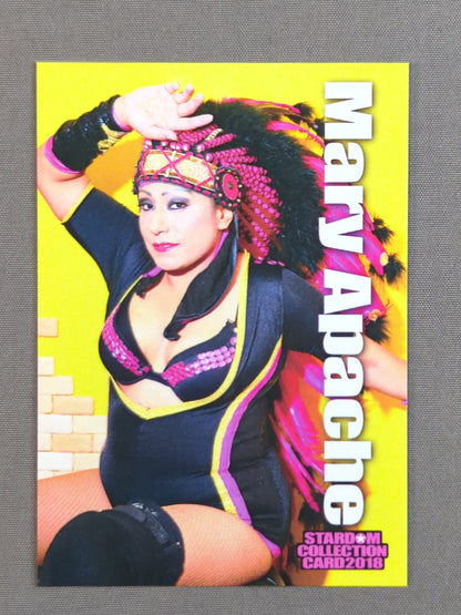 2018 STARDOM COLLECTION CARD マリー・アパッチェ(132)