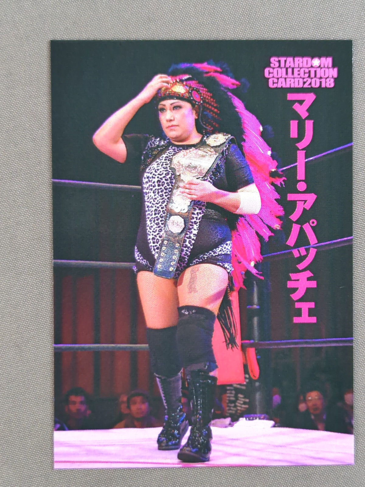 2018 STARDOM COLLECTION CARD Marie Apache (133)