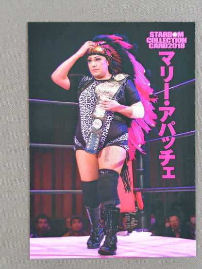 2018 STARDOM COLLECTION CARD Marie Apache (133)