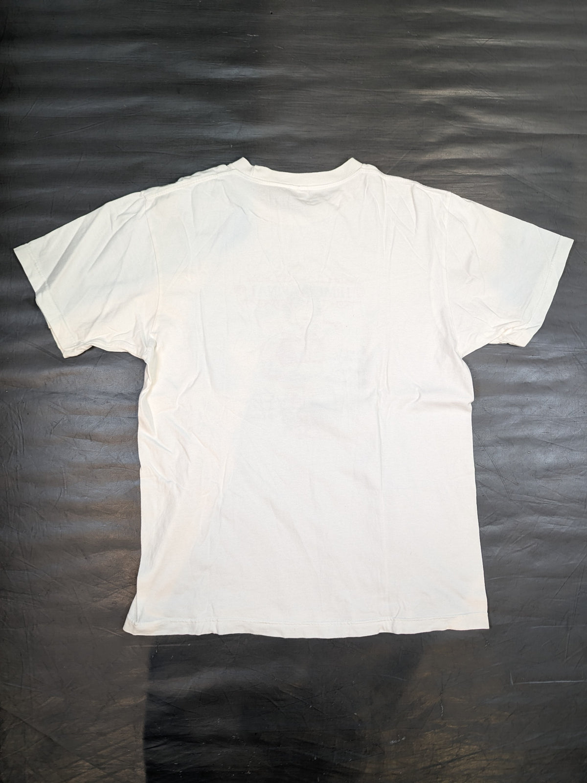 HIMEKA  "Himeka Final -Costume ver.-" T-shirt