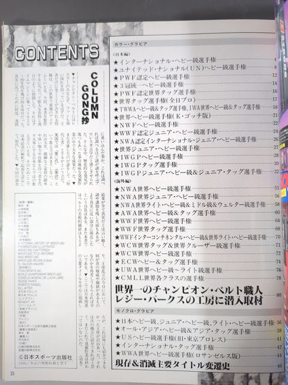 ゴング増刊号 検証チャンピオン・ベルトの謎