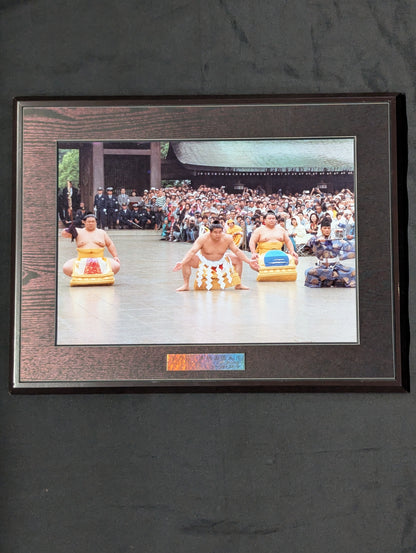 Wakanohana  Dedication Ring Entrance  photo  Panel (Sankei Sports)