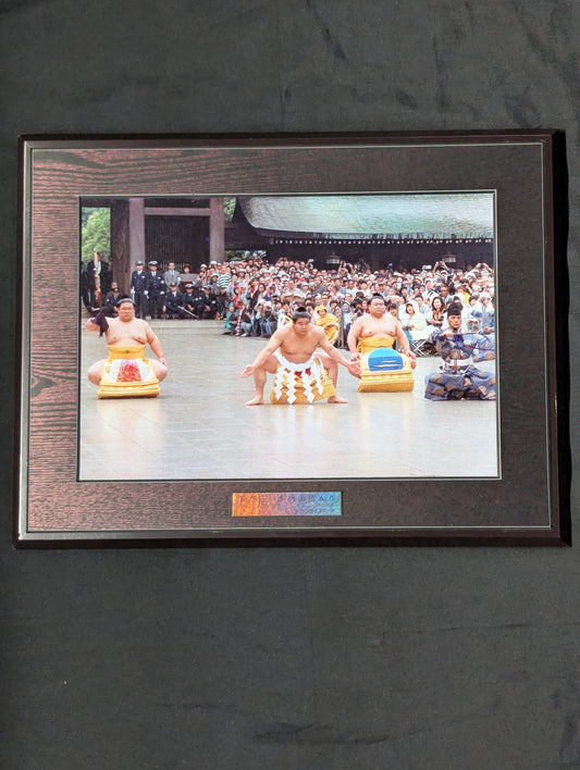 Wakanohana  Dedication Ring Entrance  photo  Panel (Sankei Sports)