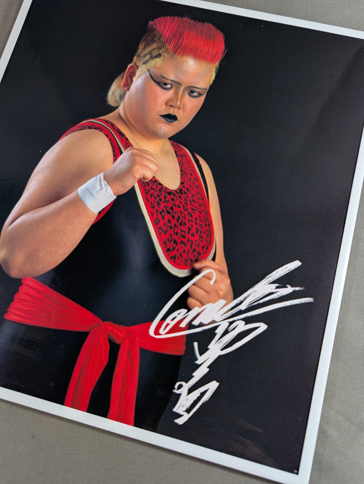 FMW Megumi Kudo & Combat Toyota Photo Panel 2-Piece Set