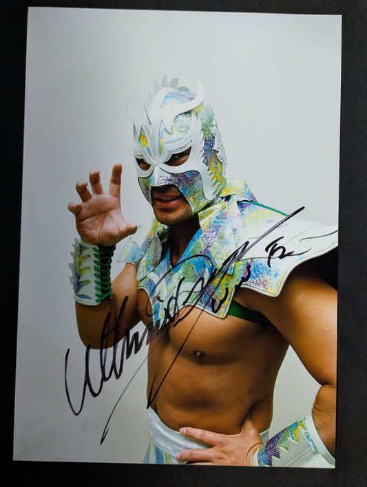 Ultimo Dragon hand-signed autograph large photo (1)