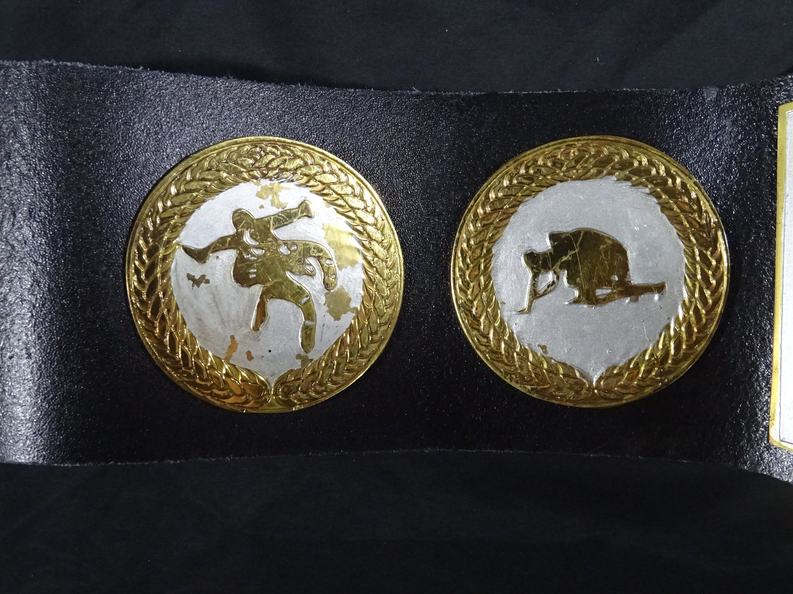 WWFジュニアヘビー級王座チャンピオンベルト – 闘道館