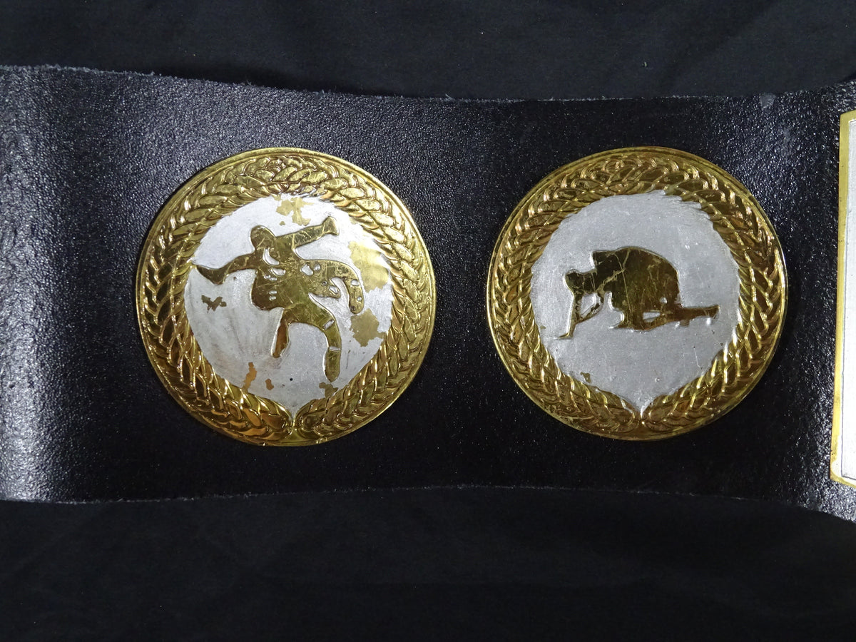 WWFジュニアヘビー級王座チャンピオンベルト