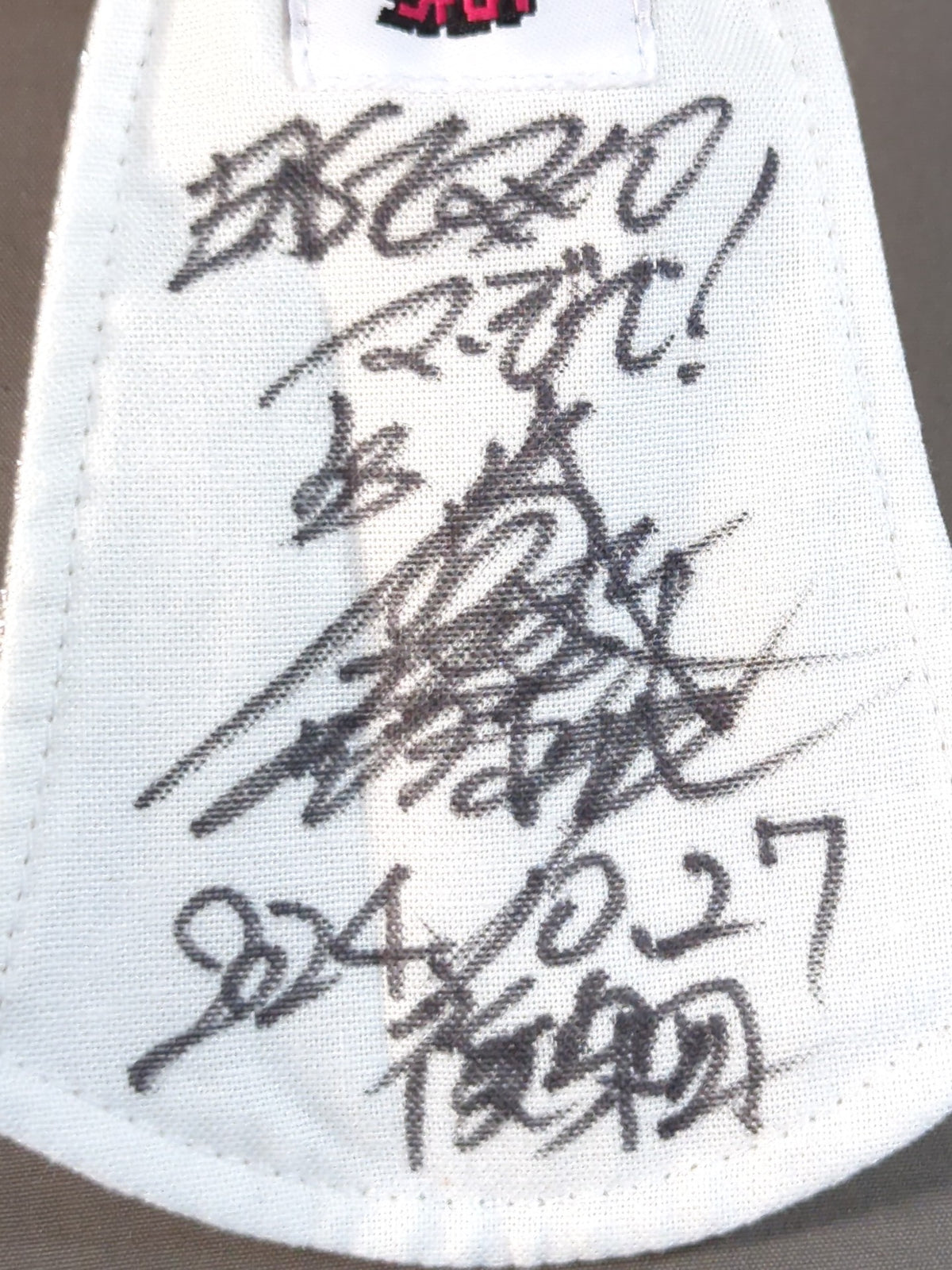 BUSHI