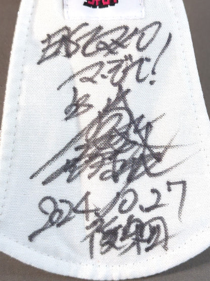 BUSHI