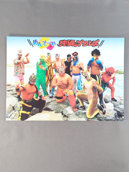 Okinawa Pro Wrestling OFFICIAL MAGAZINE Vol.2