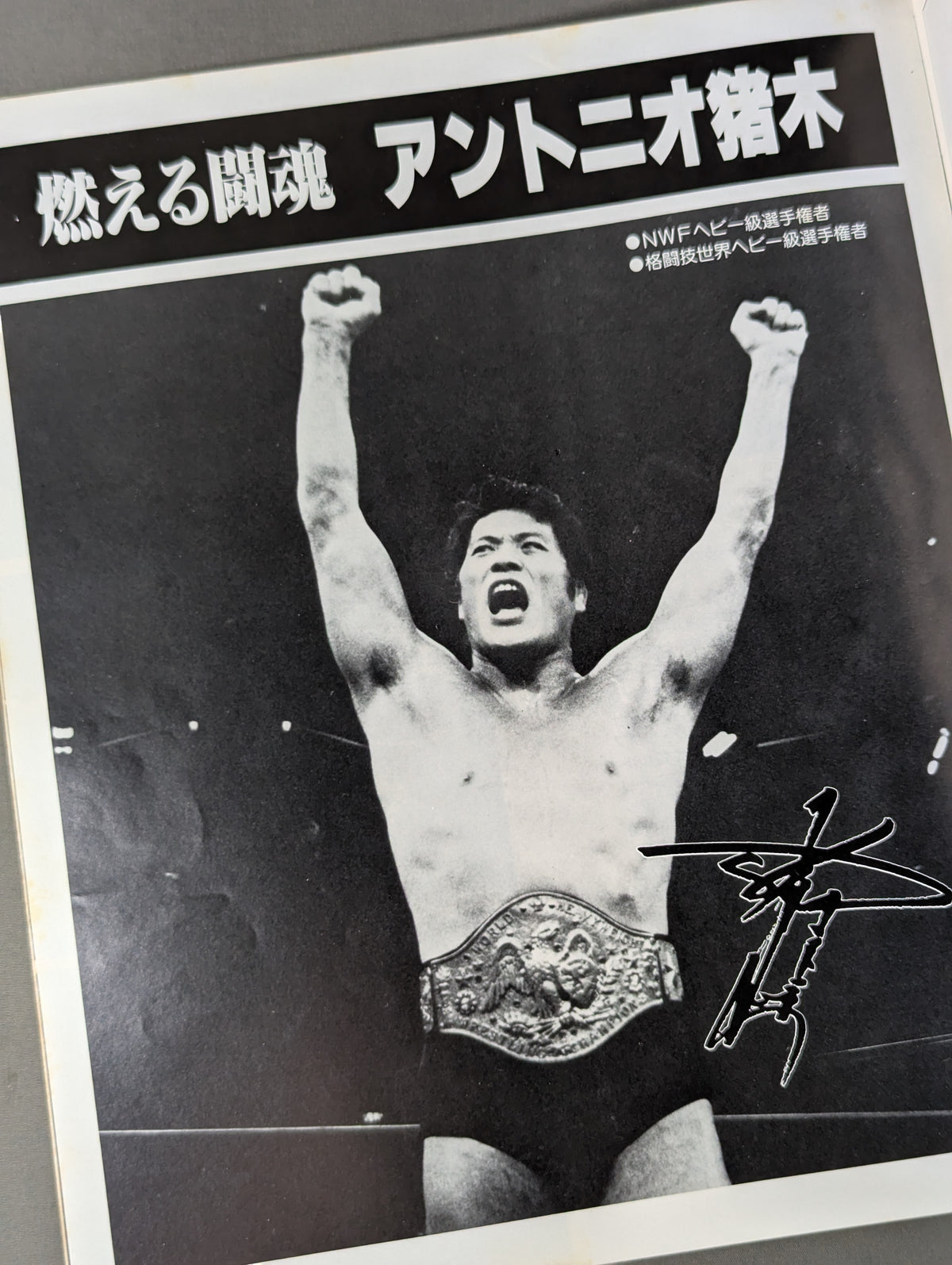 81新春黄金シリーズ