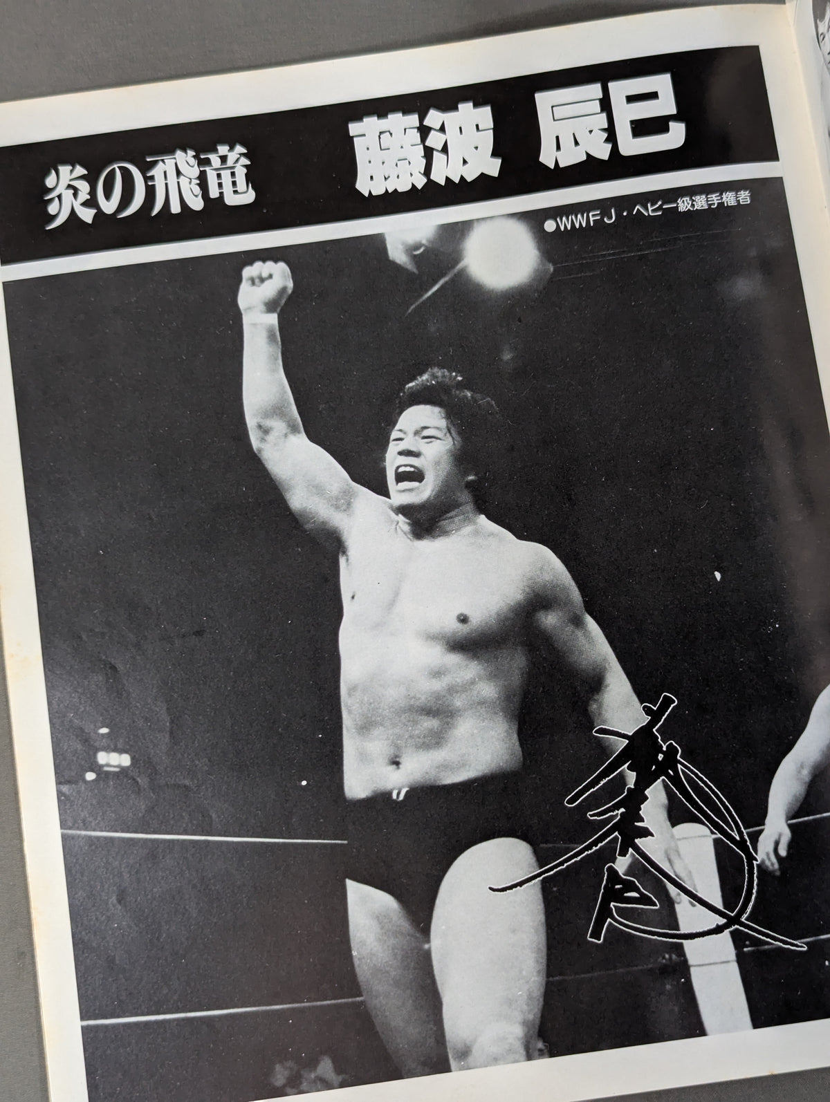 81新春黄金シリーズ