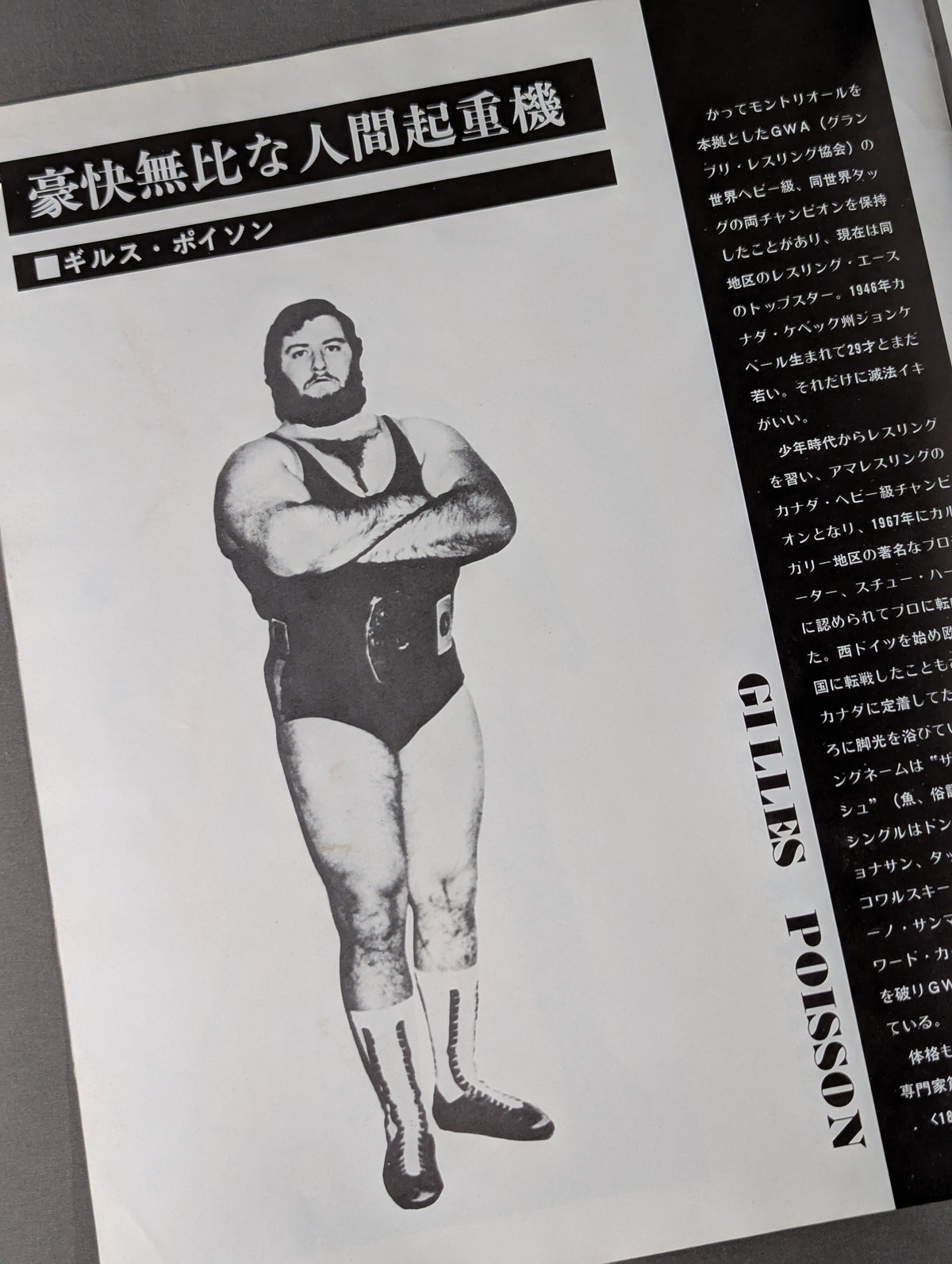 75サマー・ファイト・シリーズ