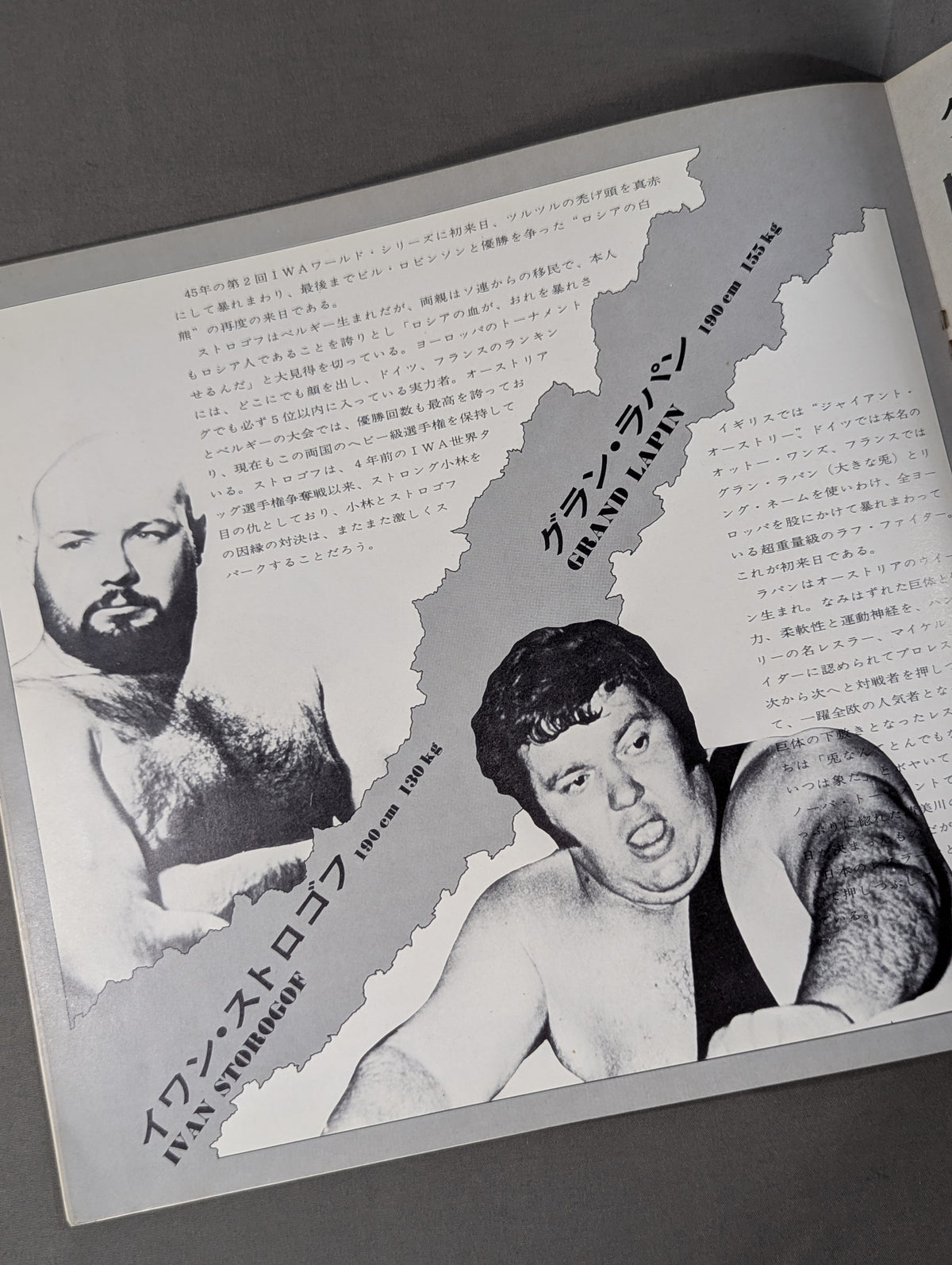 73新春パイオニア・シリーズ