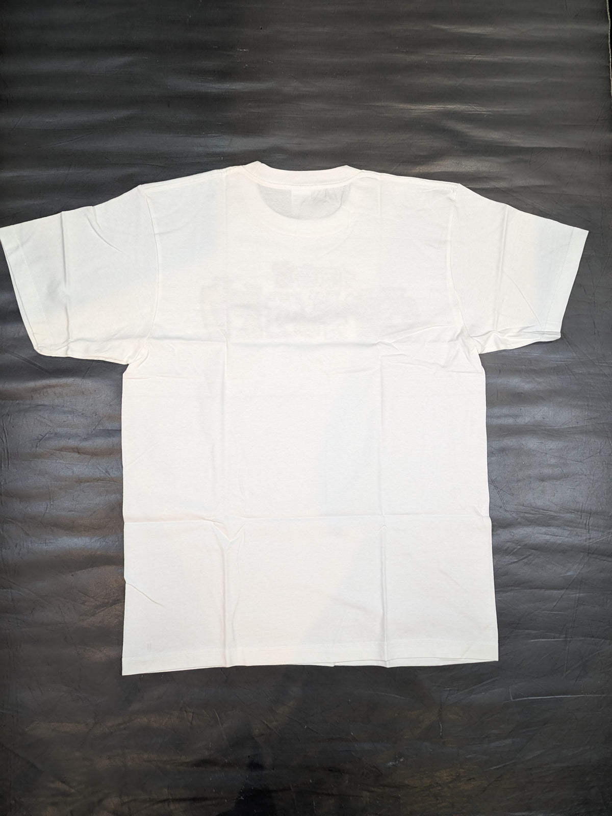 UNAGI SAYAKA 'Kakukimono' T-shirt (1) (White)