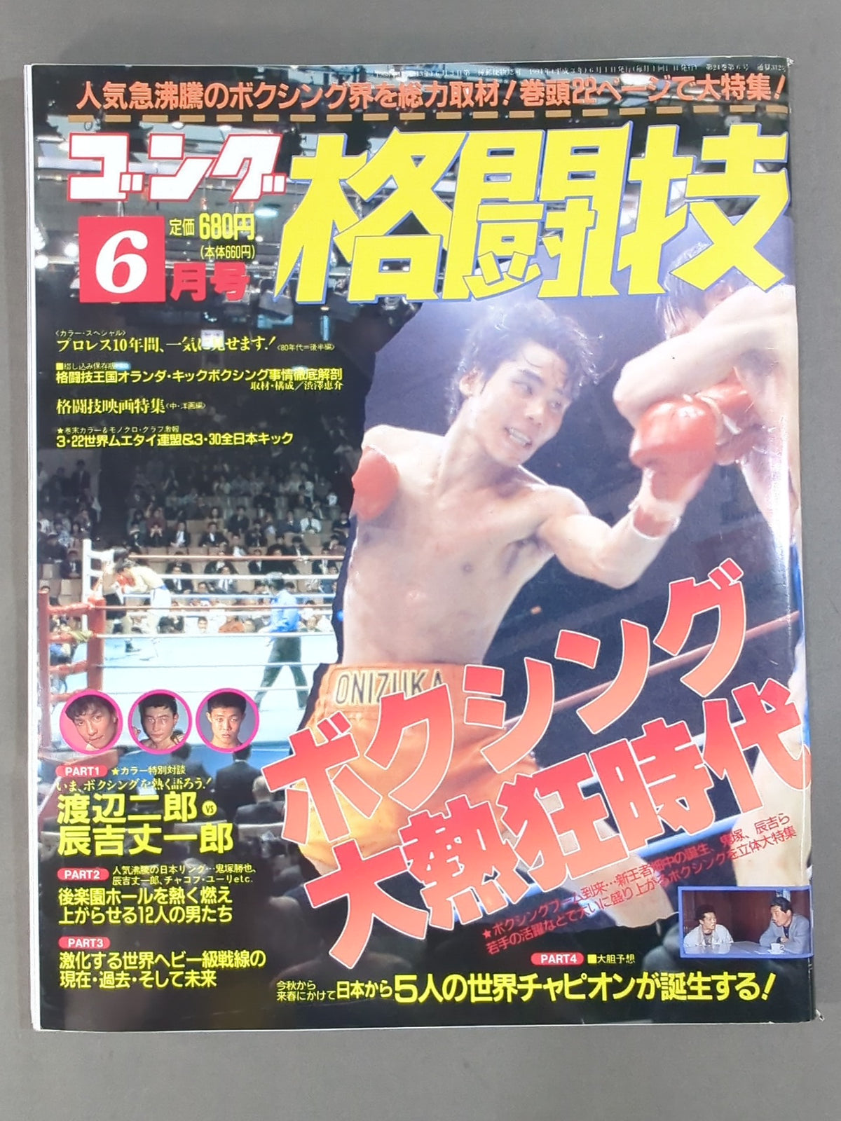 Gong Martial Arts 312