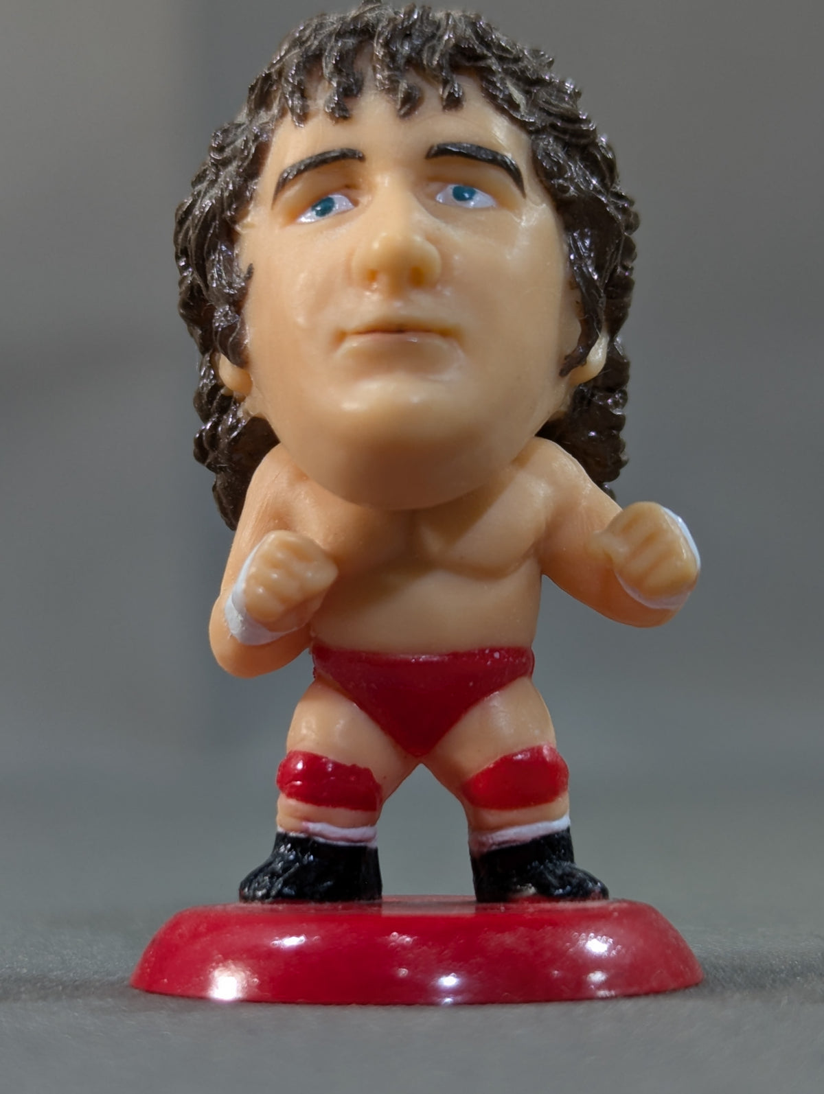 Terry Funk