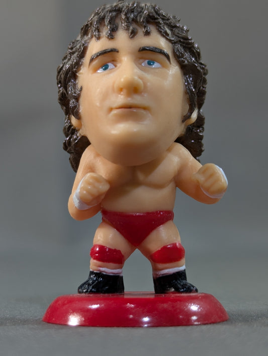 Terry Funk