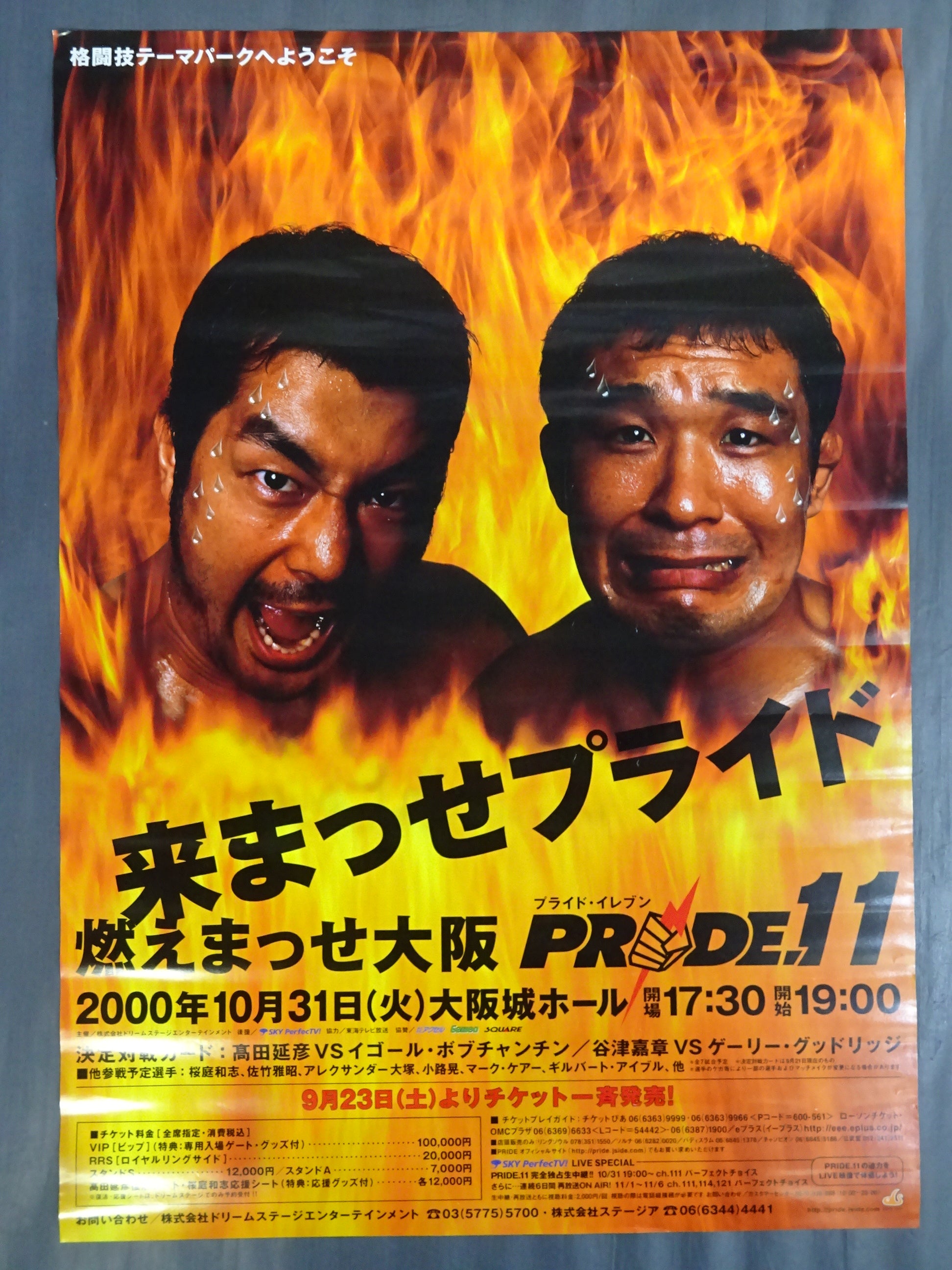 PRIDE.11 – 闘道館