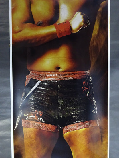Tetsuya Naito Life-size Film Poster