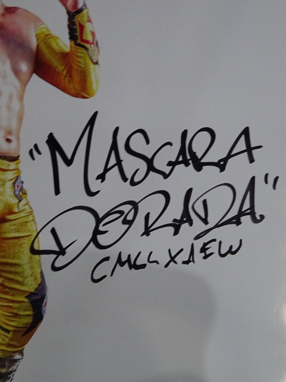【hand signed autograph】 Mascara Dorada  Poster (1)