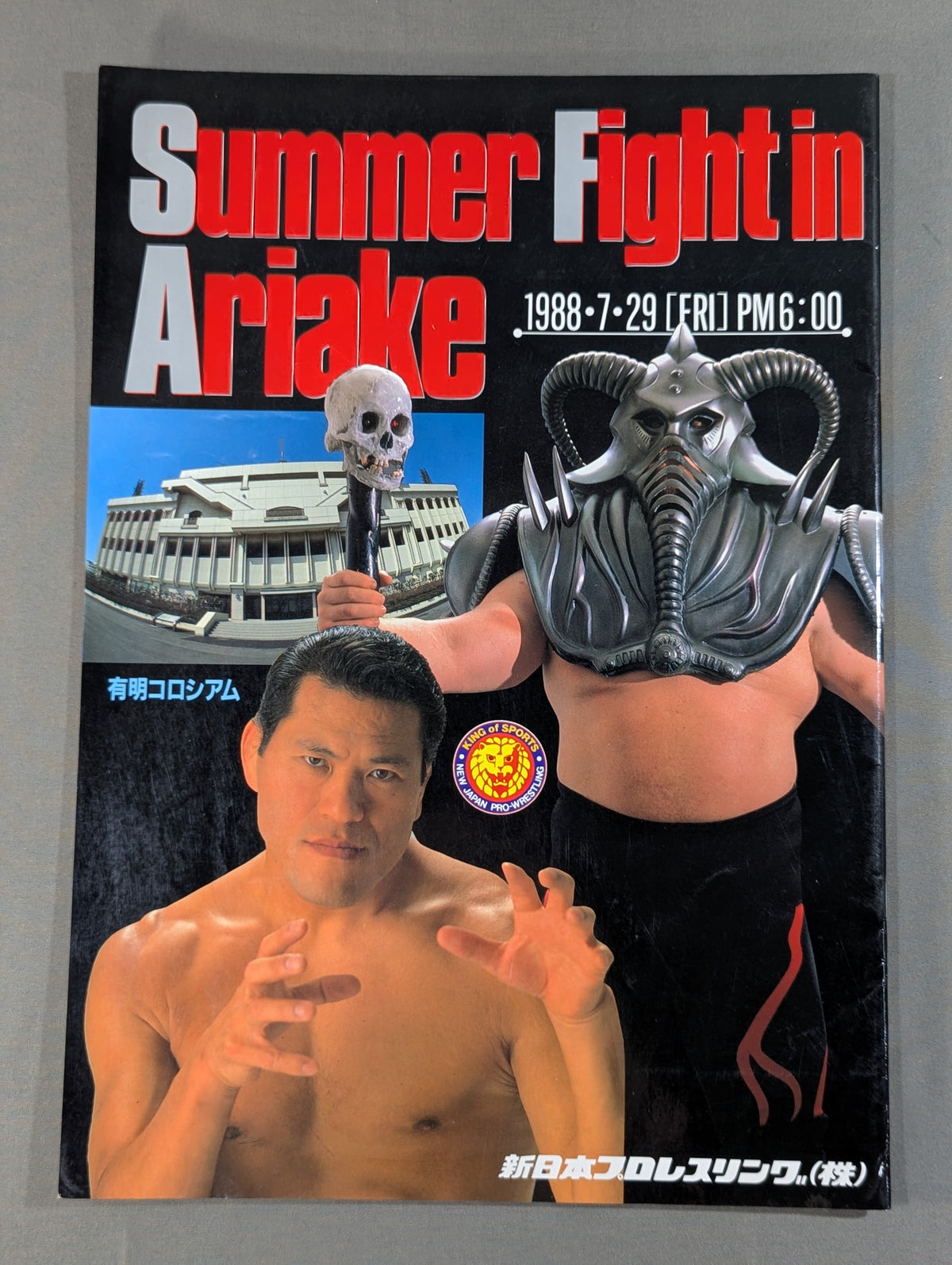 Summerfight in Ariake