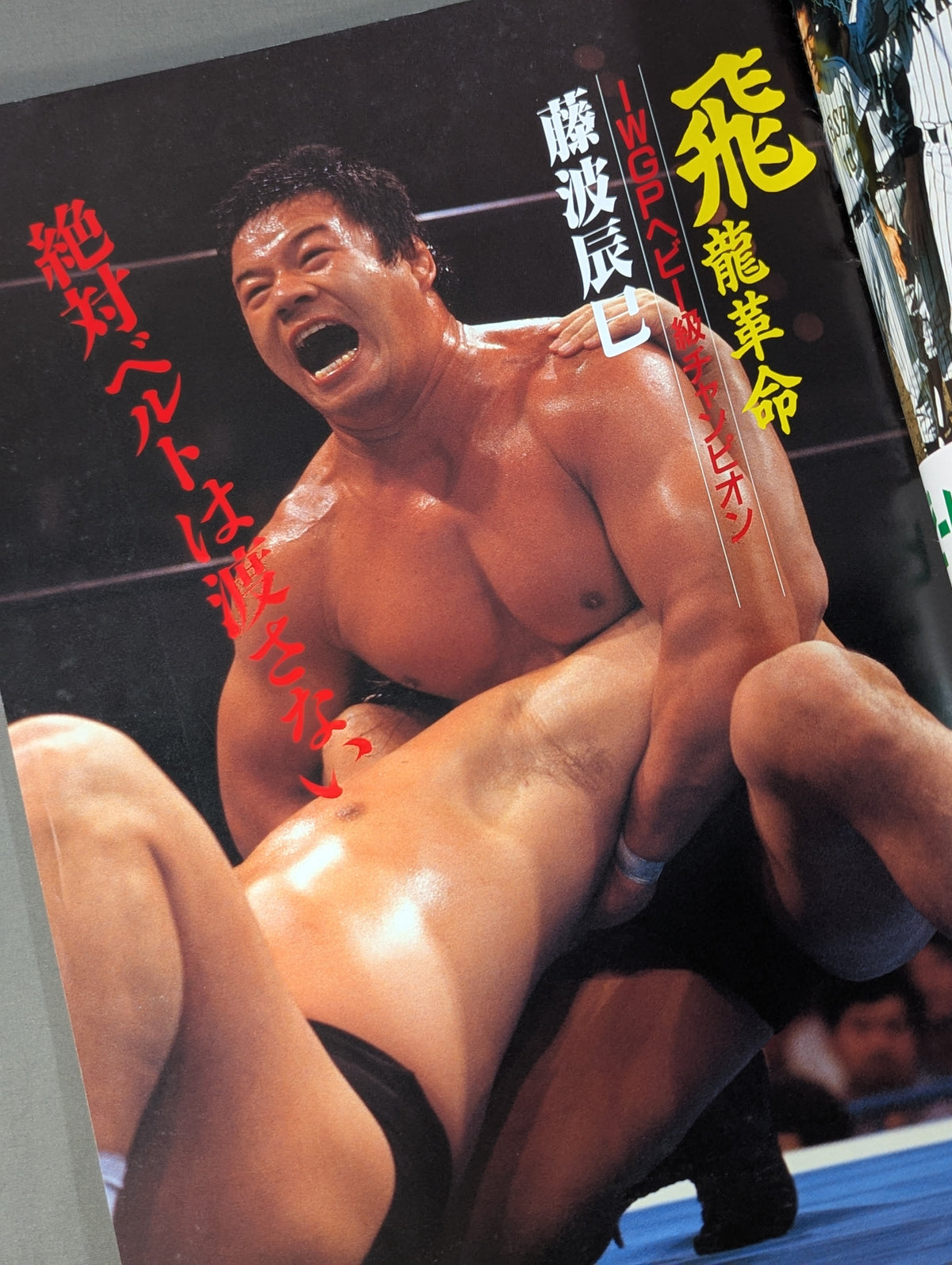Summerfight in Ariake