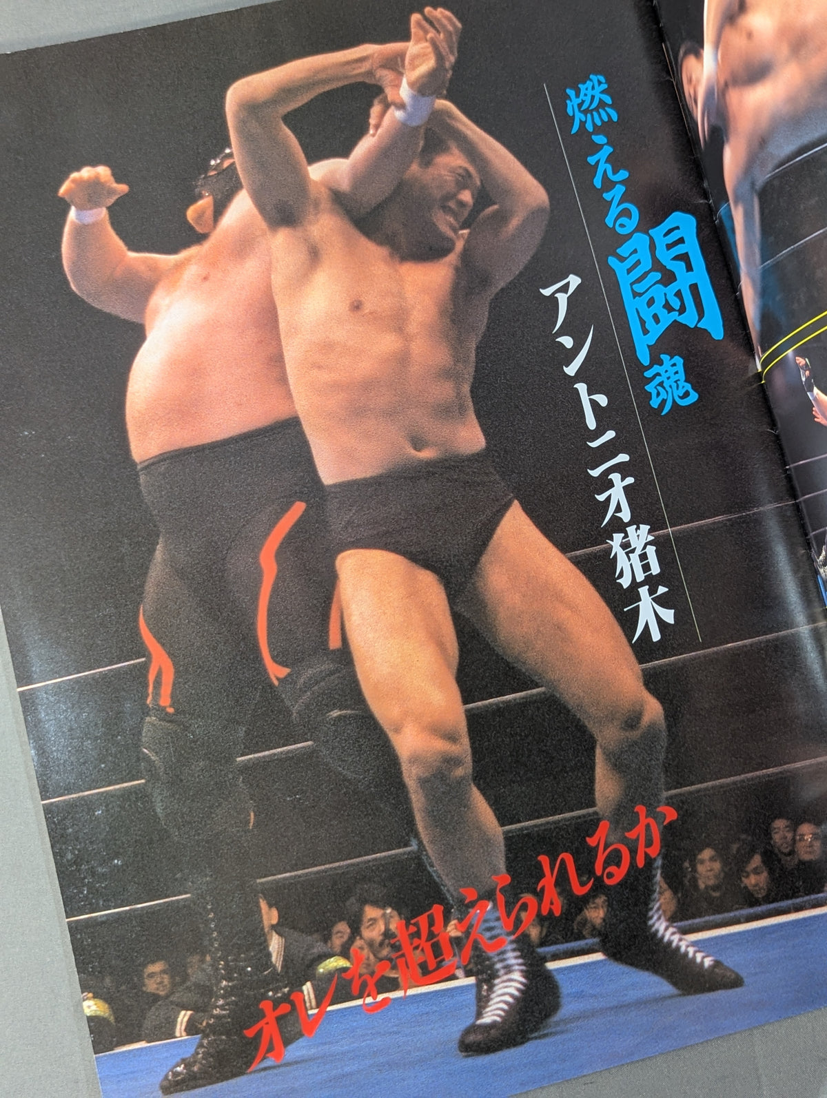 Summerfight in Ariake