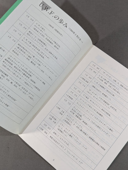 特別記念号《保存版》UWF誕生から未来へ