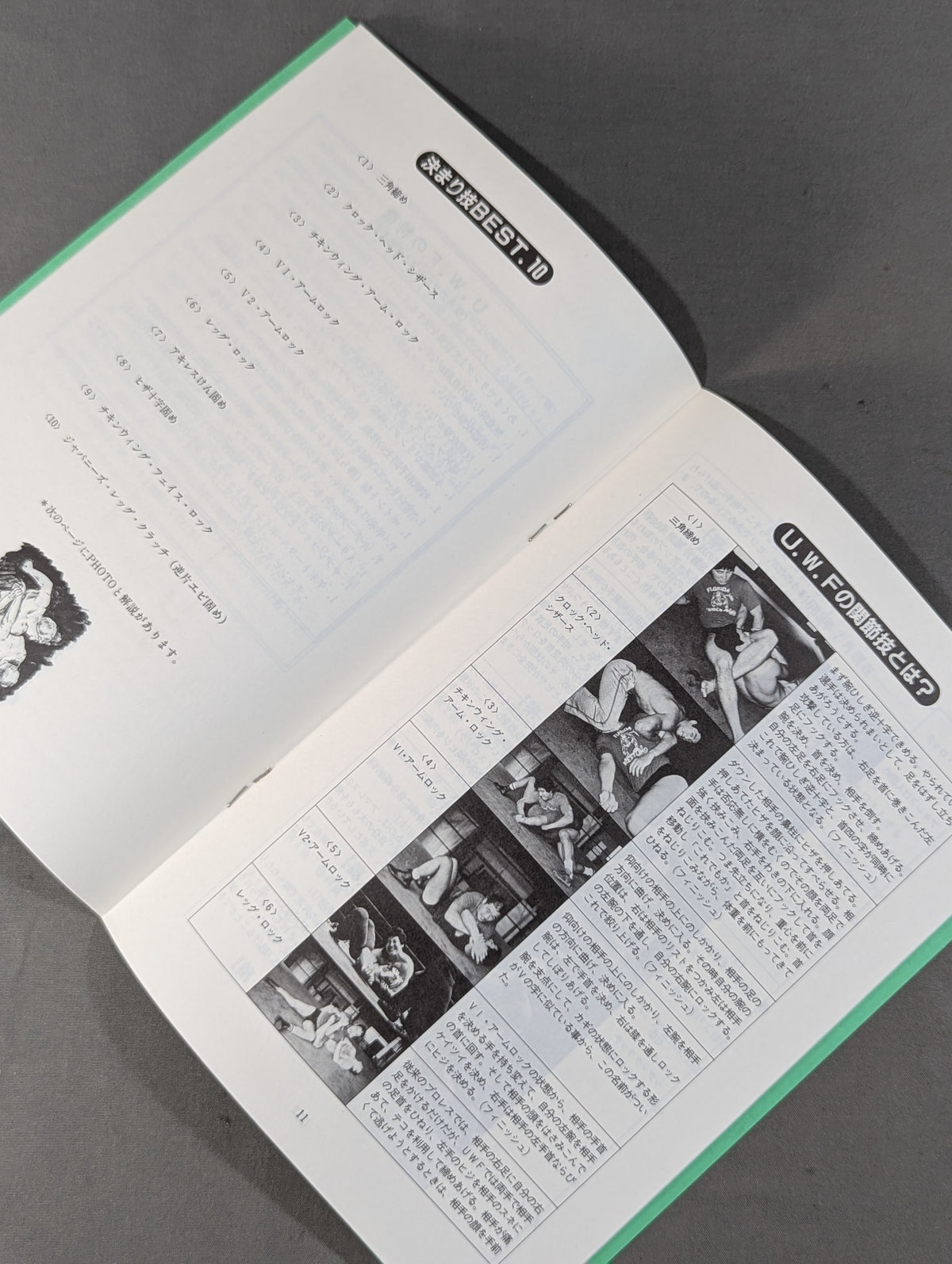 特別記念号《保存版》UWF誕生から未来へ