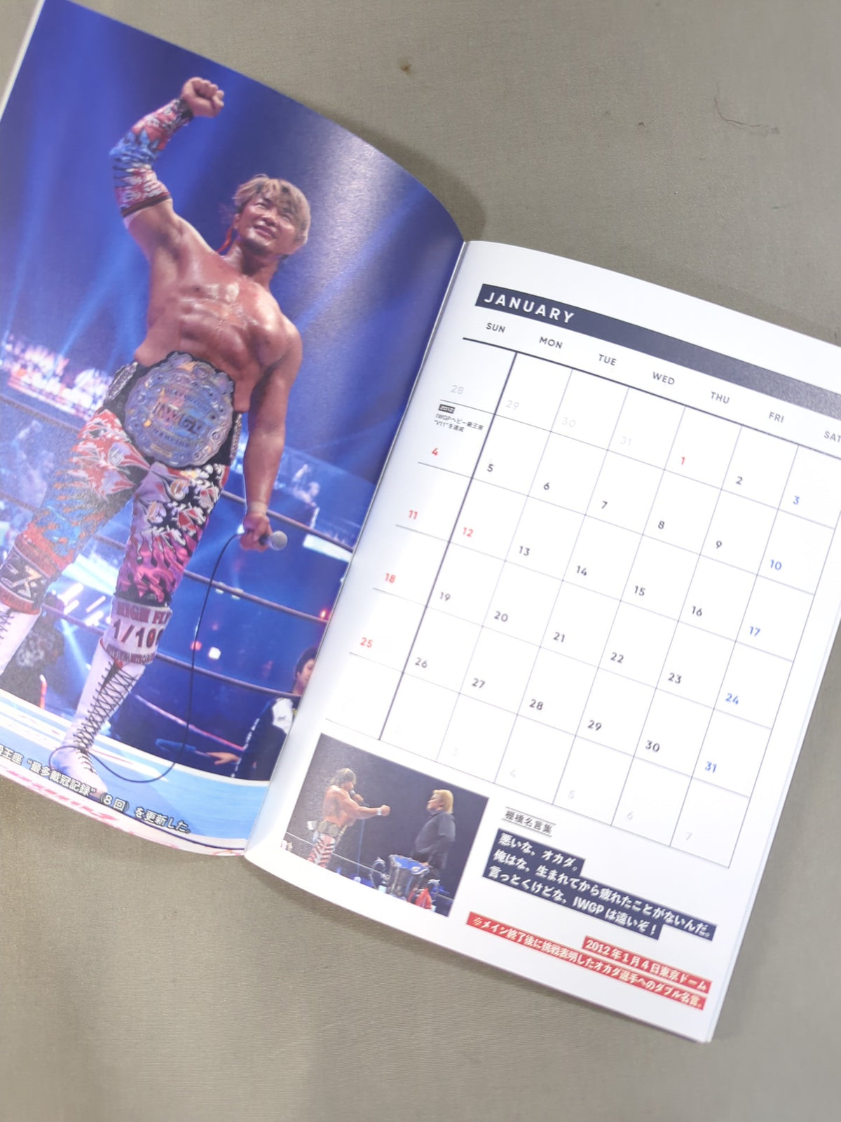 Hiroshi Tanahashi 2026 Schedule Book