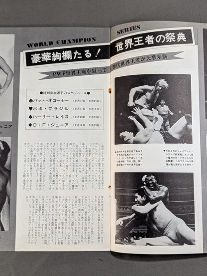 73 World Champion Series
