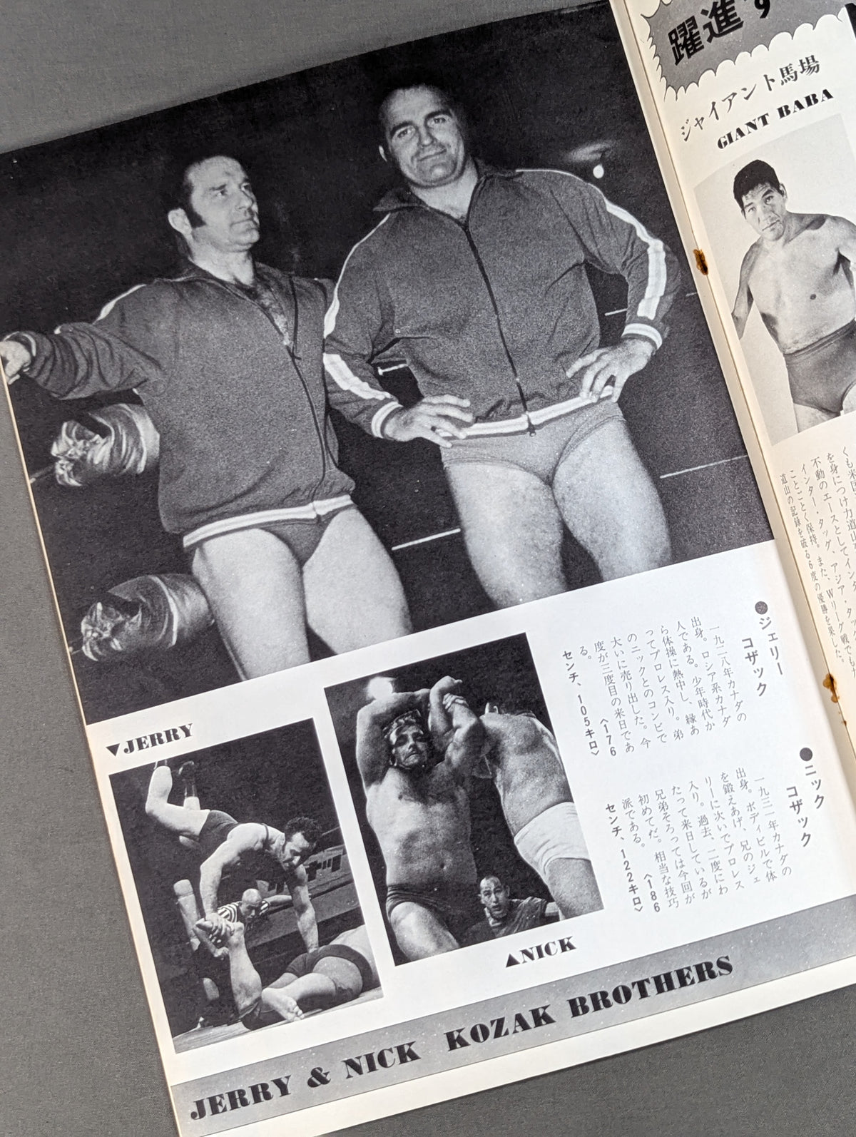 73 World Champion Series