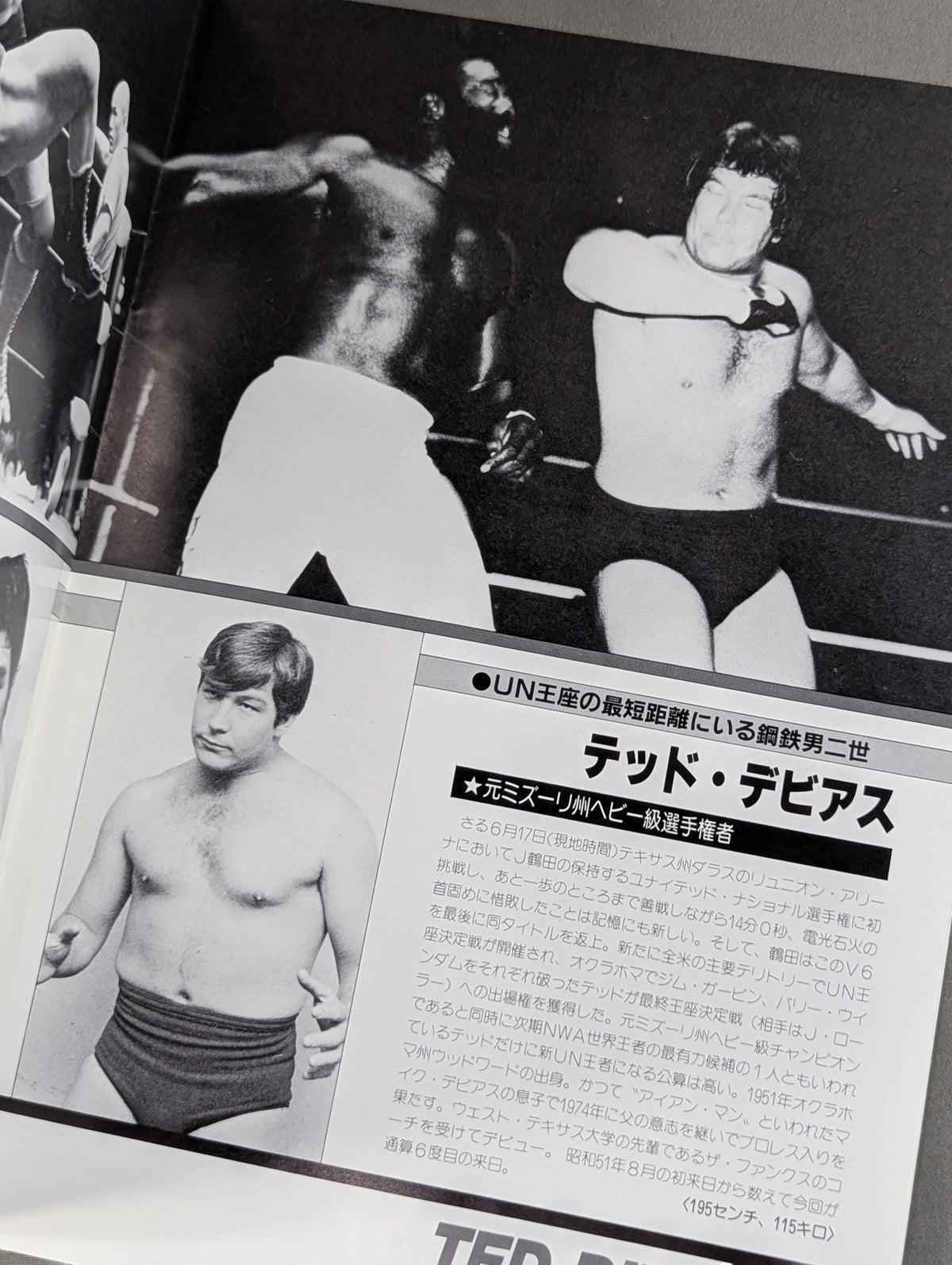★ Tenryu vs De Beers UN Heavyweight Match ★ 83 Giant Series