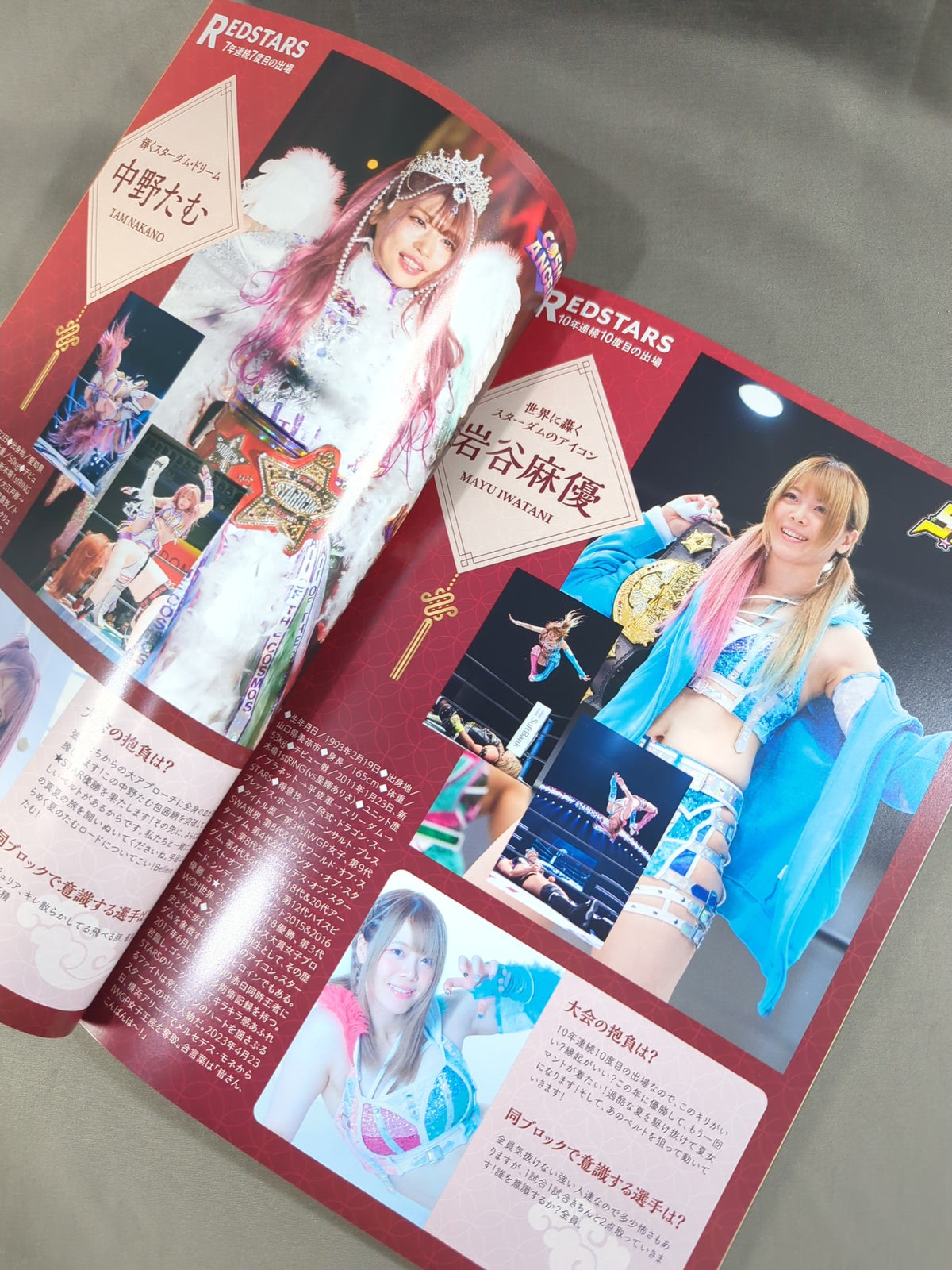 STARDOM OFFICIAL GUIDE BOOK Vol.148