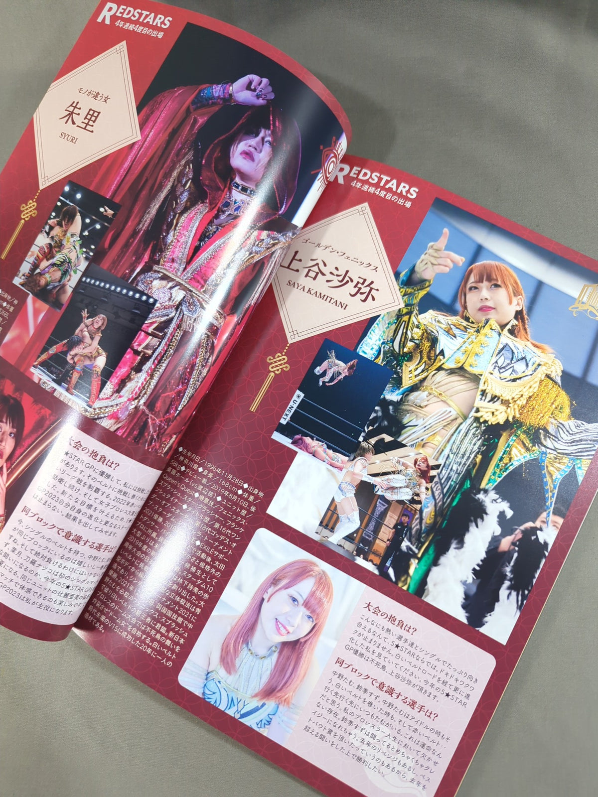 STARDOM OFFICIAL GUIDE BOOK Vol.148