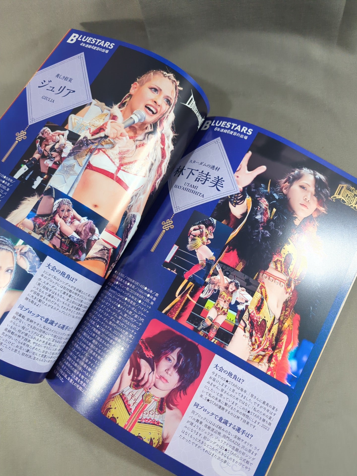STARDOM OFFICIAL GUIDE BOOK Vol.148 – 闘道館